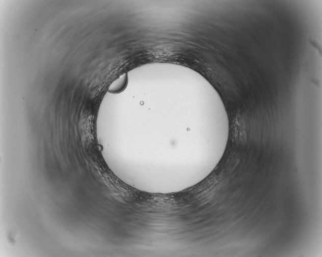 X0000103941346200810031313