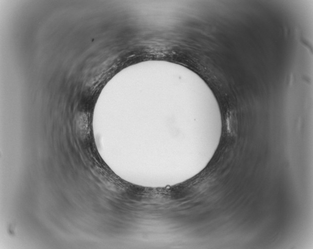 X0000103941347200810031313