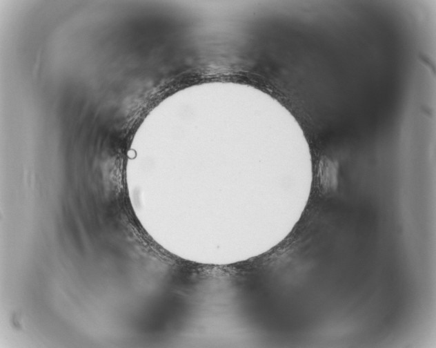 X0000103941348200810031313