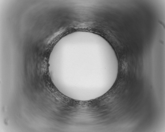 X0000103941350200810031313