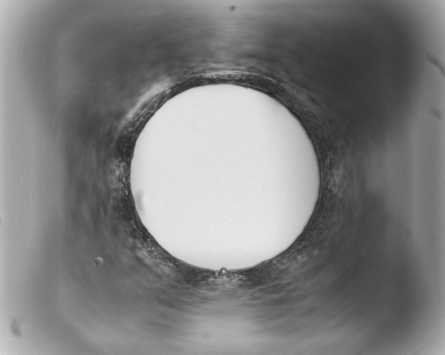 X0000103941351200810031313