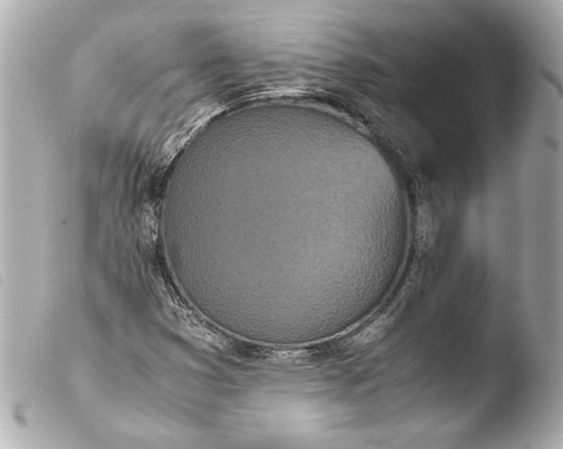 X0000103941353200810031313