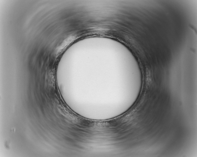 X0000103941354200810031313