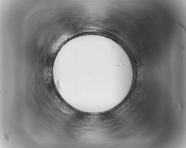 X0000103941355200810031313