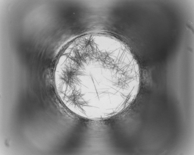 X0000103941356200810031313