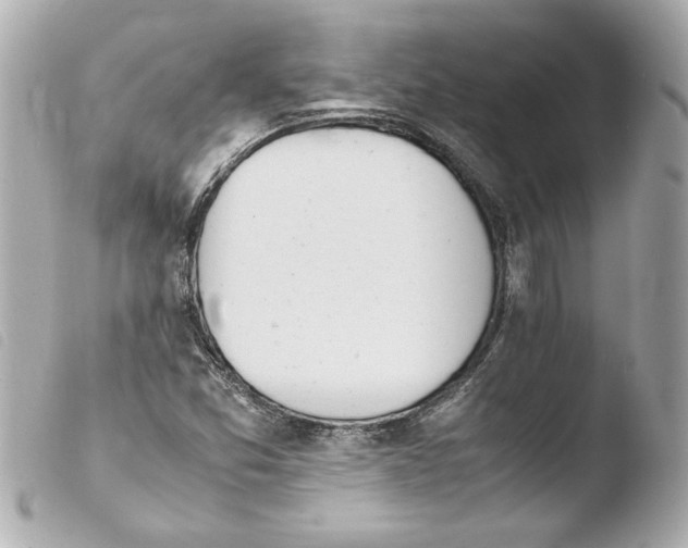 X0000103941357200810031313