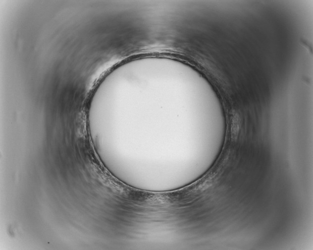 X0000103941358200810031313