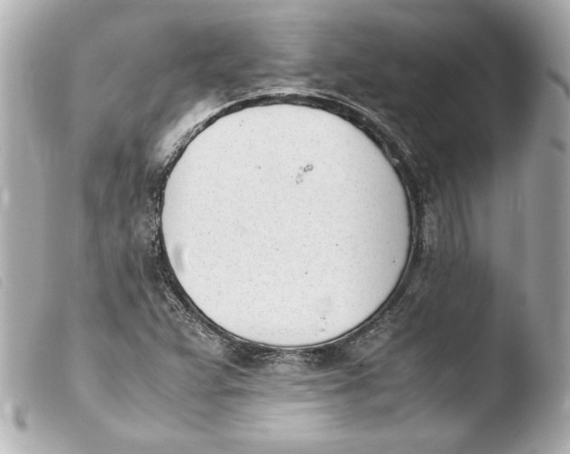 X0000103941359200810031313