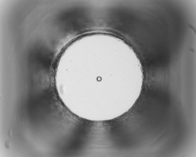 X0000103941360200810031313