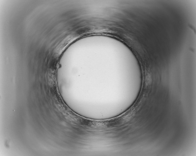 X0000103941361200810031313