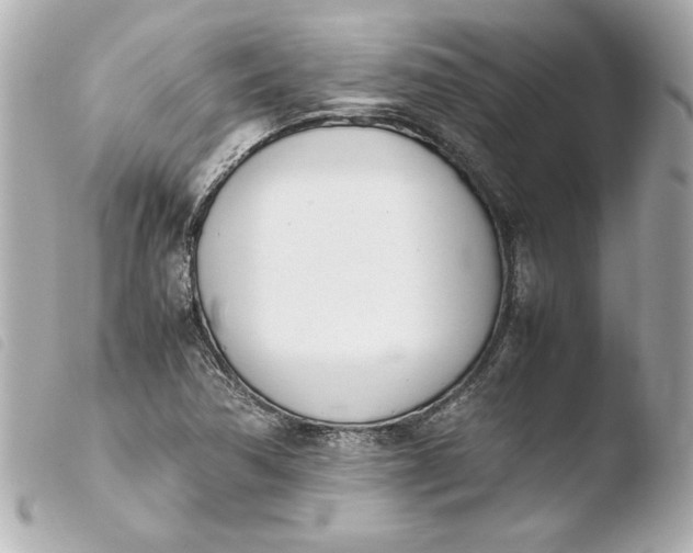 X0000103941362200810031313