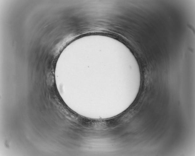 X0000103941363200810031313