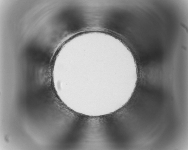 X0000103941364200810031312