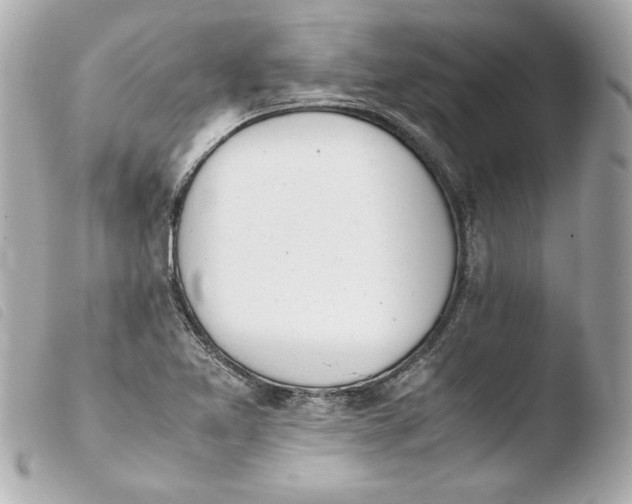 X0000103941365200810031312