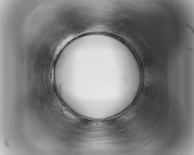 X0000103941366200810031312