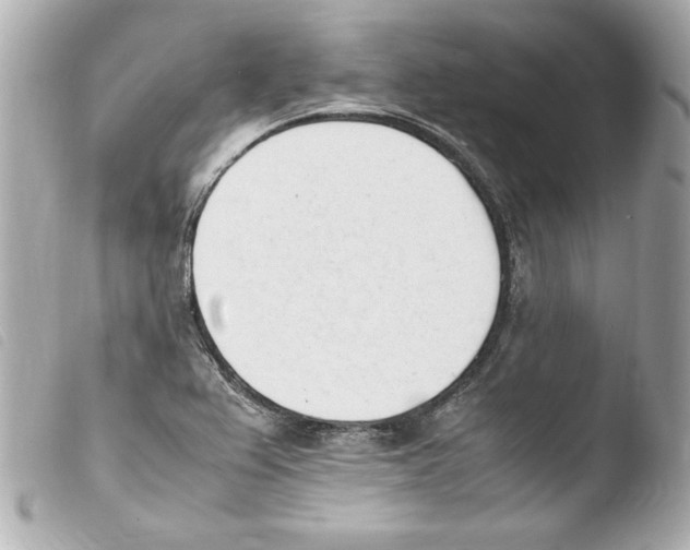 X0000103941367200810031312