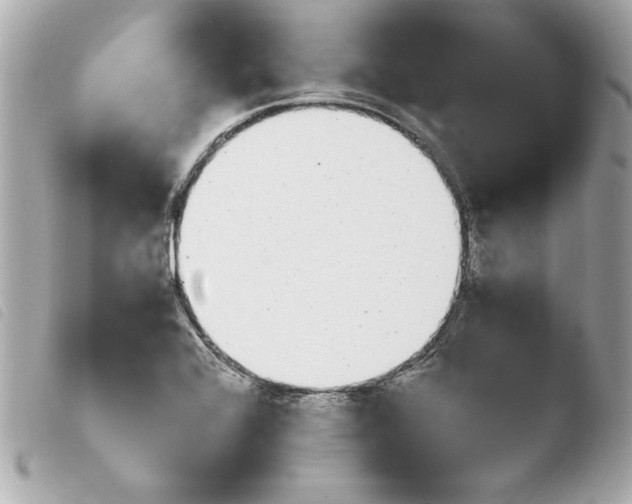 X0000103941368200810031312