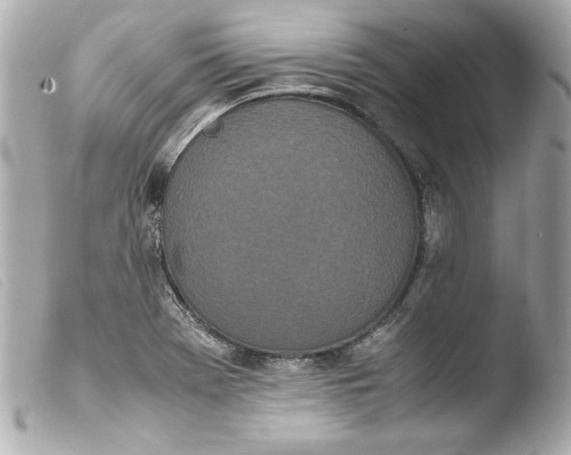 X0000103941369200810031312