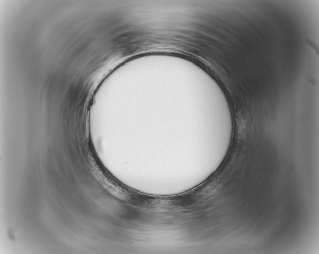 X0000103941371200810031312