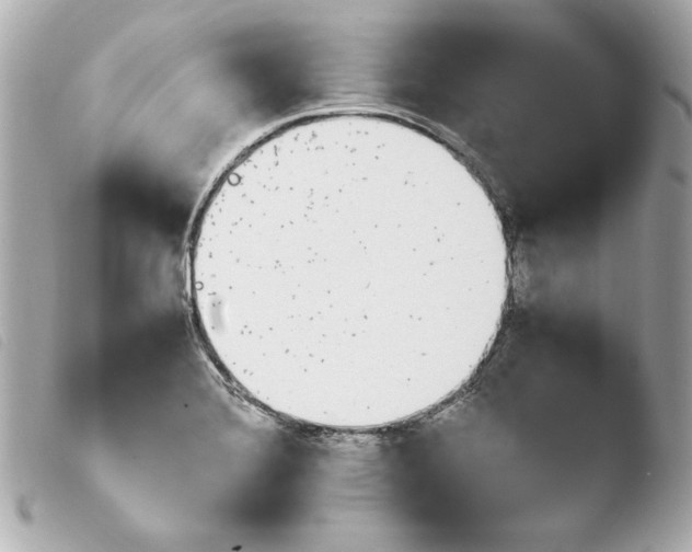 X0000103941372200810031312