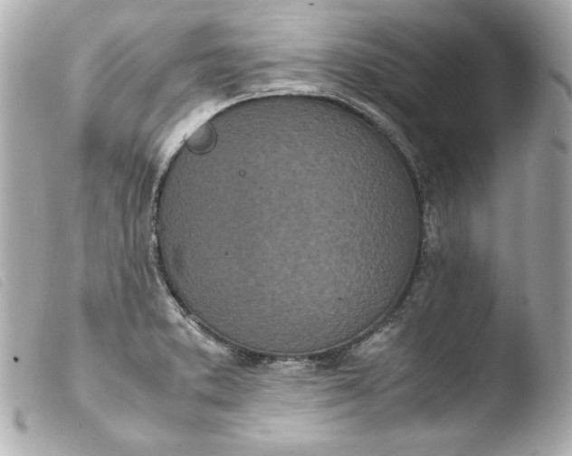 X0000103941373200810031312