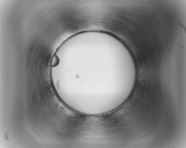 X0000103941374200810031312