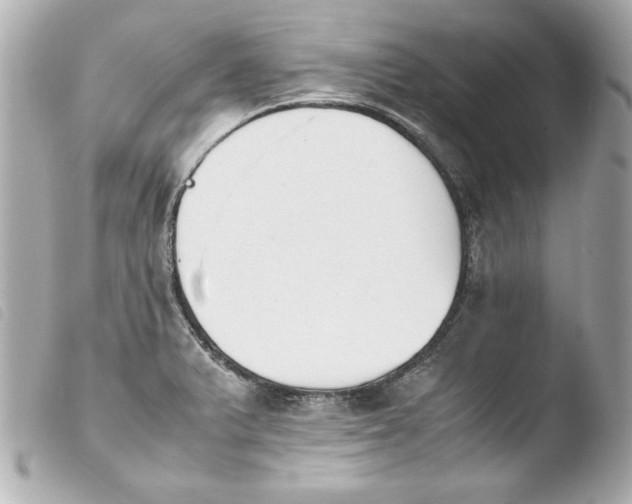 X0000103941375200810031312