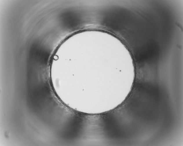 X0000103941376200810031312