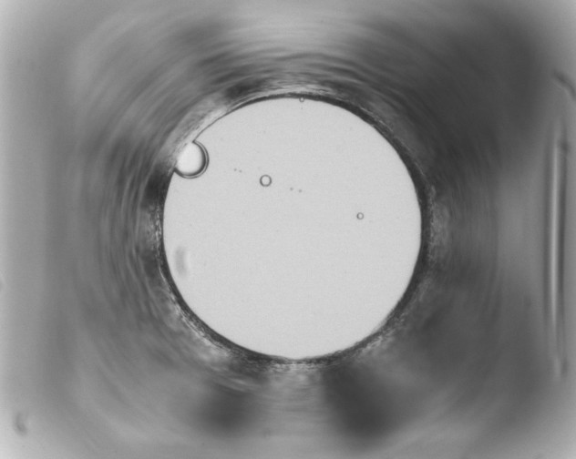 X0000103941377200810031312