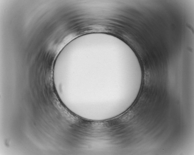 X0000103941378200810031312