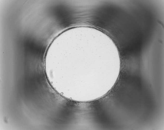 X0000103941380200810031312