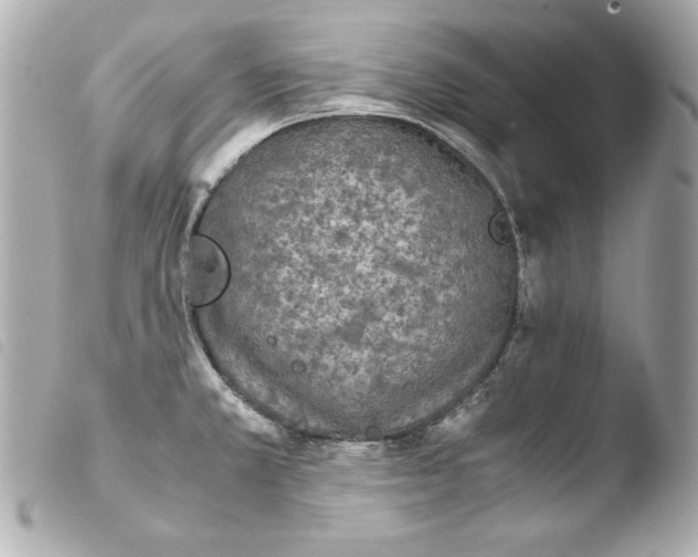 X0000103941381200810031312