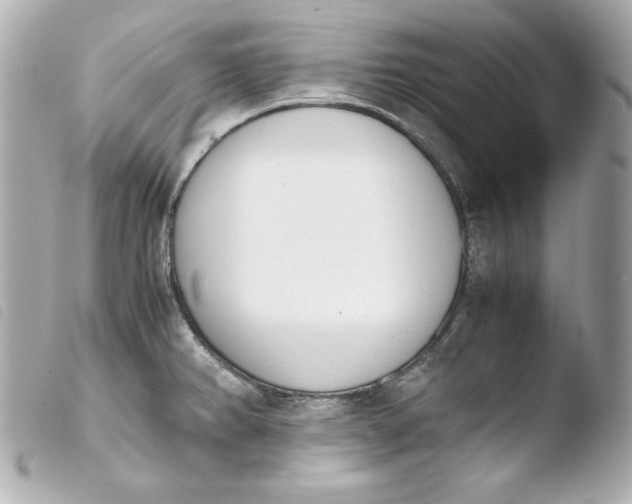 X0000103941382200810031312