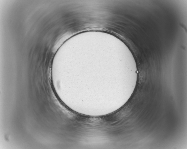 X0000103941383200810031312