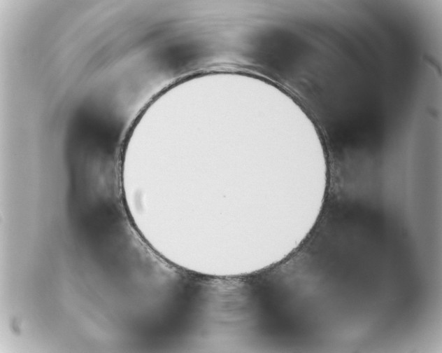 X0000103941384200810031312