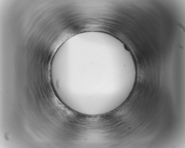 X0000103941386200810031312