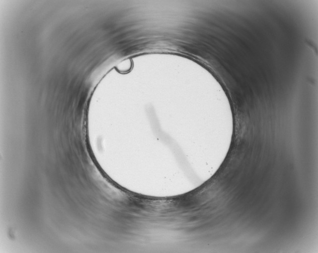 X0000103941387200810031312