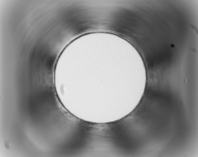 X0000103941388200810031312