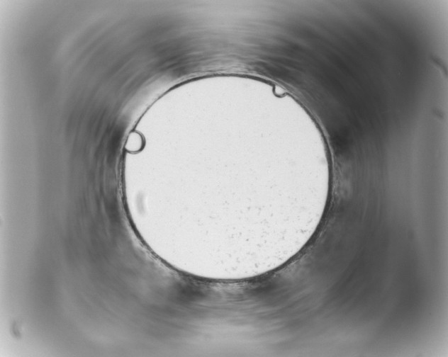 X0000103941389200810031312