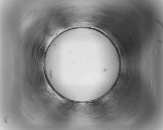 X0000103941390200810031312