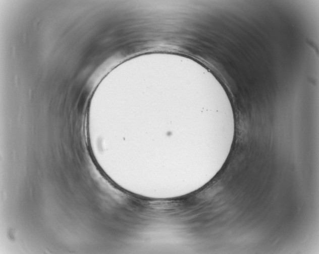 X0000103941391200810031312