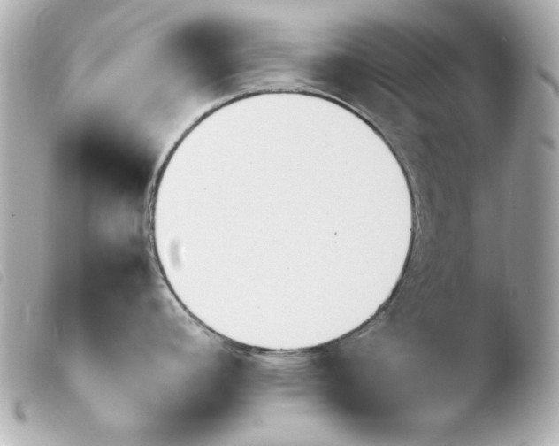 X0000103941392200810031312