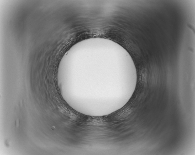 X0000103941393200810031311