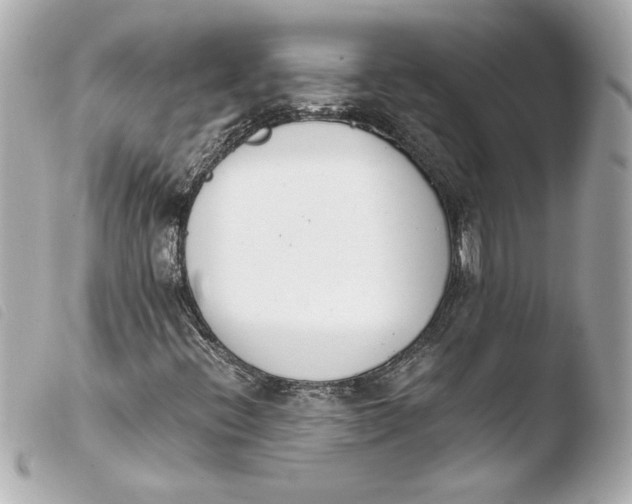 X0000103941396200810031311