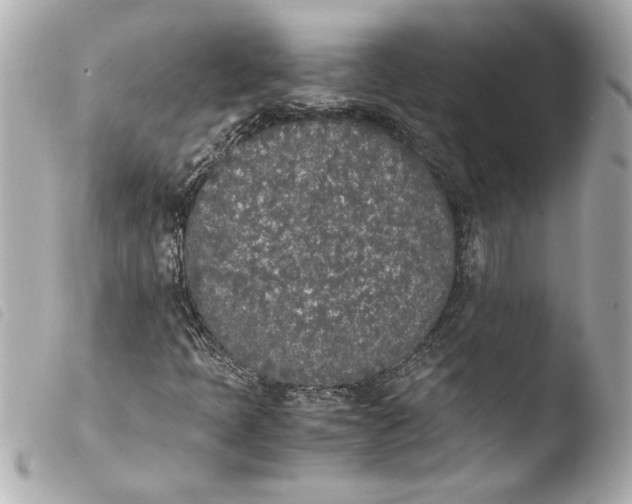 X0000103941397200810031311