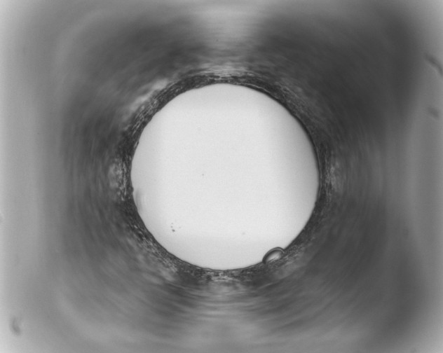 X0000103941398200810031311