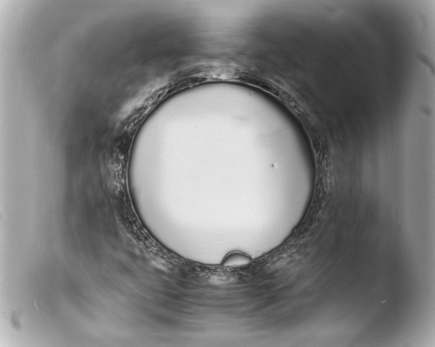 X0000103941399200810031311