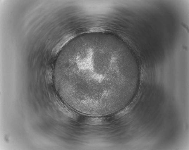 X0000103941401200810031311