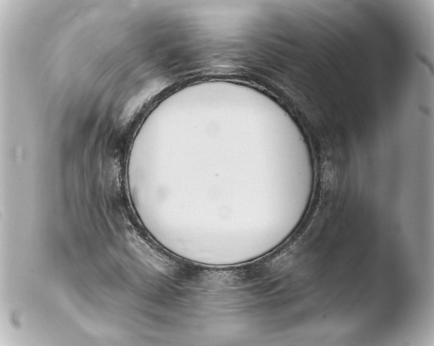 X0000103941402200810031311