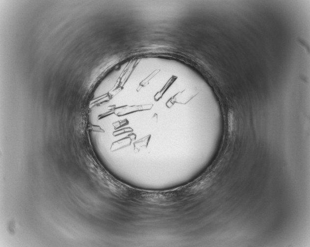 X0000103941405200810031311